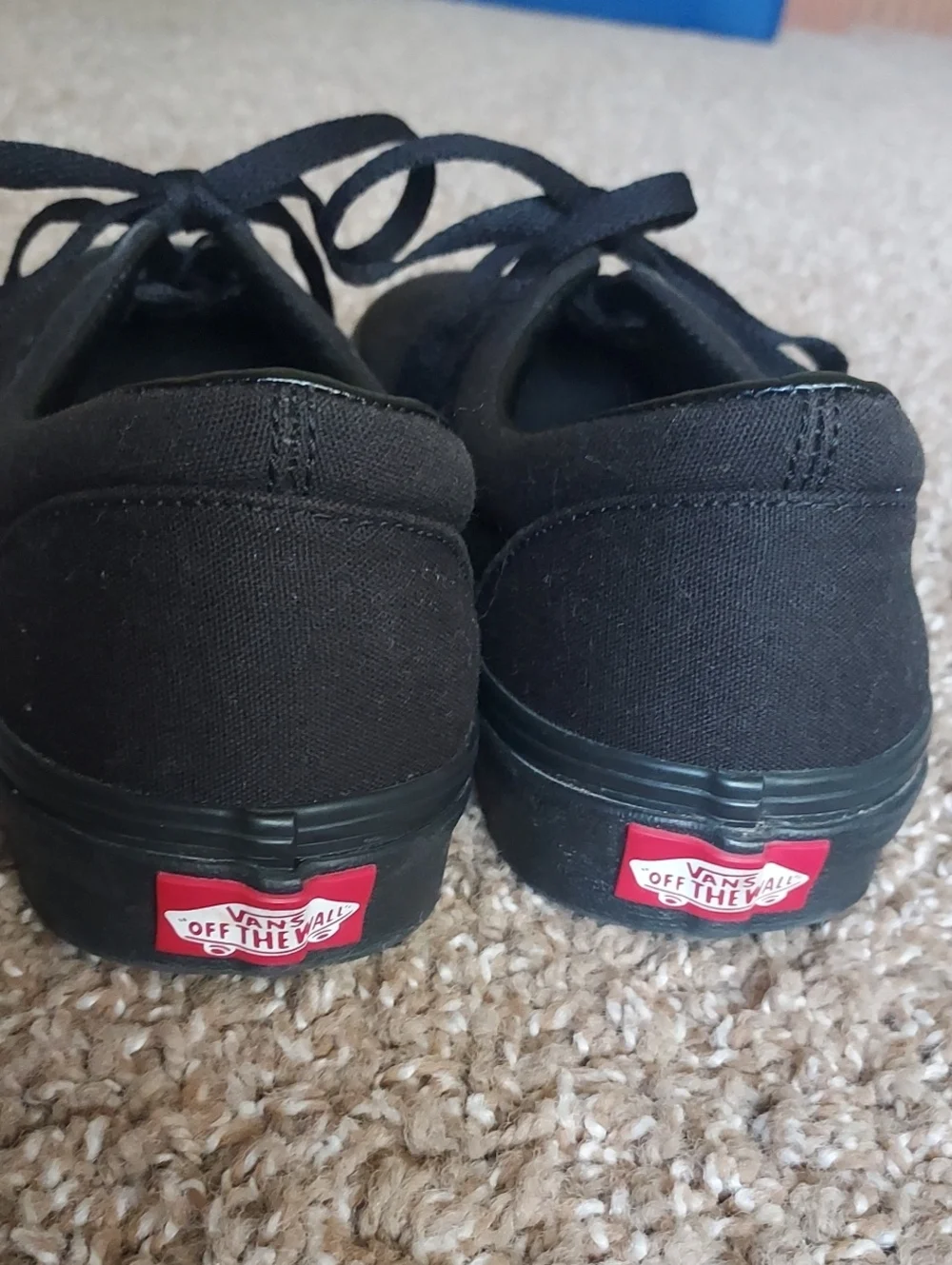 Vans Black Low-Top Sneakers with White Logo